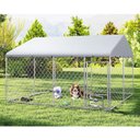 Yafylly Outdoor Dog Kennel, Silver, Large: 121.4 x 121.4 x 76-in