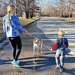 Sporn Child Co-Walk Dog Training Leash, Standard, Pink
