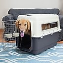 SportPet Designs Airline Approved Dog Kennel, Grey, X-Large: 35-in