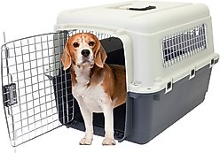 SportPet Designs Airline Compliant Dog Kennel, Grey, Medium: 26-in