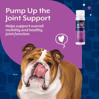 Show full view: NaturVet Hip & Joint Peanut Butter Flavor Lickable Supplement for Dogs, 6.4-fl oz bottle slide 3 of 9