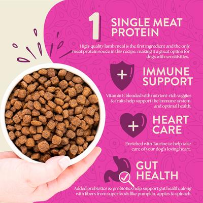 Show full view: Earthborn Holistic Meadow Feast Lamb Meal & Vegetables Grain-Free Dry Dog Food, 4-lb bag slide 4 of 8