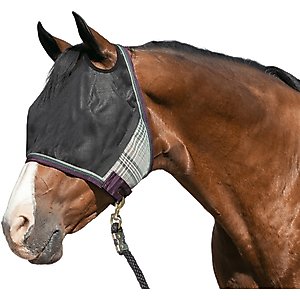 Kensington Protective Products UViator CatchMask Horse Fly Mask, Imperial Jade, Large