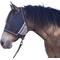 Show in main carousel: Kensington Protective Products UViator CatchMask Horse Fly Mask, Deluxe Black, Large slide 1 of 9