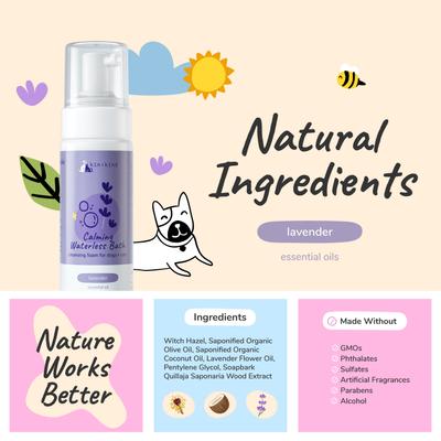 Show full view: kin+kind Natural Lavender Calming Waterless Bath Dog & Cat Shampoo, 8-fl oz bottle slide 4 of 7