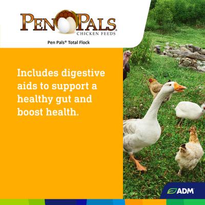 Show full view: ADM Pen Pals Total Flock Chicken & Bird Feed, 50-lb bag slide 7 of 8