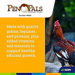ADM Pen Pals Prime Chicken Feed, 50-lb bag slide 2 of 7