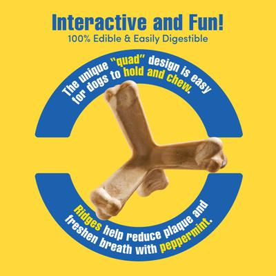 Show full view: N-Bone Quada BBQ Flavored Interactive Large Dental Dog Treat, 1 count slide 5 of 11