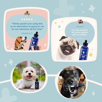 Show full view: kin+kind Clean Ears Dog Ear Cleanser, 12-fl oz bottle slide 5 of 7