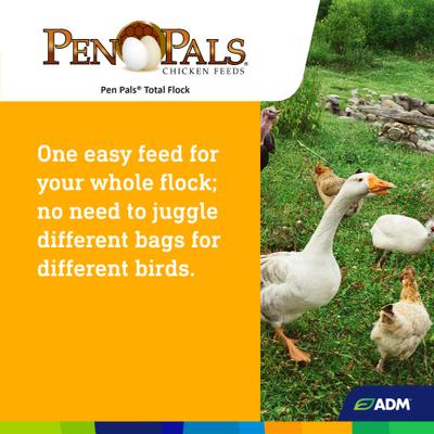 Show full view: ADM Pen Pals Total Flock Chicken & Bird Feed, 50-lb bag slide 6 of 8