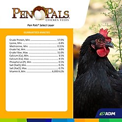 ADM Pen Pals Select Layer Chicken Feed, 50-lb bag slide 2 of 6