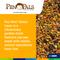 Show in main carousel: ADM Pen Pals Select Layer Chicken Feed, 50-lb bag slide 5 of 7