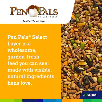 Show full view: ADM Pen Pals Select Layer Chicken Feed, 50-lb bag slide 5 of 7