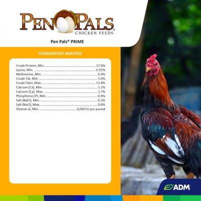 Show full view: ADM Pen Pals Prime Chicken Feed, 50-lb bag slide 2 of 8