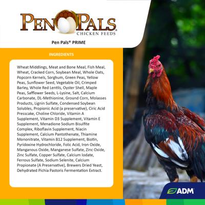 Show full view: ADM Pen Pals Prime Chicken Feed, 50-lb bag slide 3 of 8