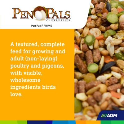 Show full view: ADM Pen Pals Prime Chicken Feed, 50-lb bag slide 6 of 8