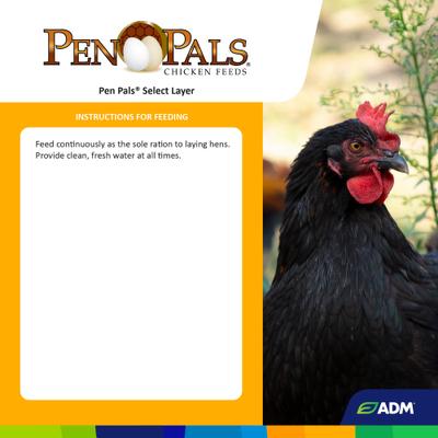 Show full view: ADM Pen Pals Select Layer Chicken Feed, 50-lb bag slide 3 of 7