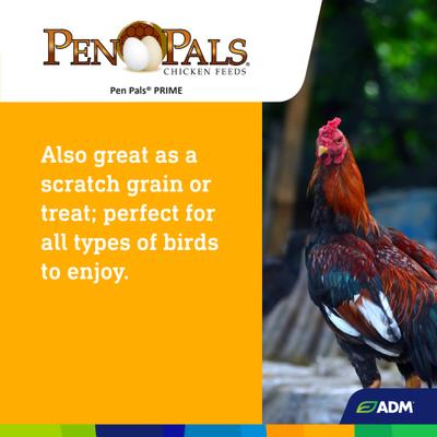 Show full view: ADM Pen Pals Prime Chicken Feed, 50-lb bag slide 7 of 8