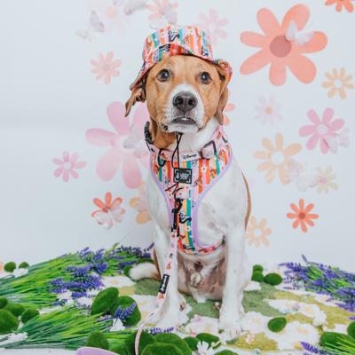 Show full view: Sassy Woof Disney's Bambi Dog Bucket Hat, Medium slide 7 of 7