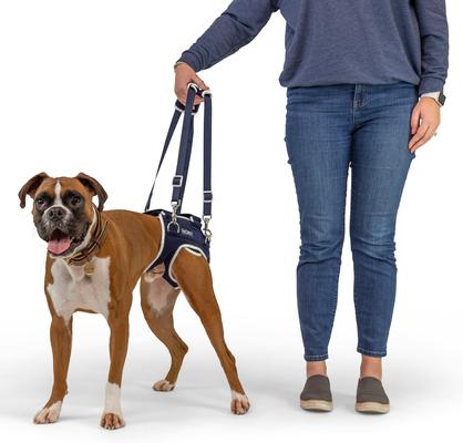 BALTO Life Hip Dysplasia Dog Brace, X-Large