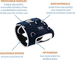 Balto Life Hip Dysplasia Dog Brace, Large slide 2 of 8