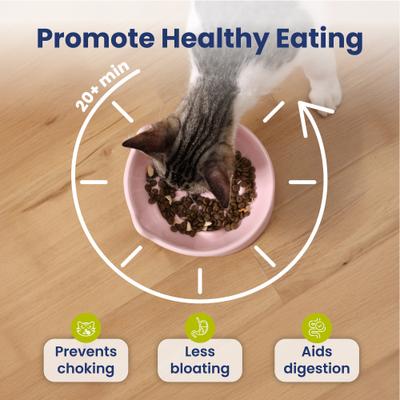 Show full view: PawsPik Lynx Ceramic Raised Slow Dog & Cat Food Bowl, Quartz Pink slide 3 of 11