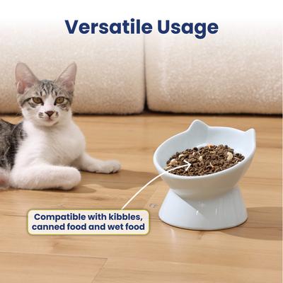 Show full view: PawsPik Lynx Ceramic Raised Slow Dog & Cat Food Bowl, Sky Blue slide 6 of 11