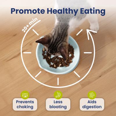 Show full view: PawsPik Lynx Ceramic Raised Slow Dog & Cat Food Bowl, Sky Blue slide 3 of 11