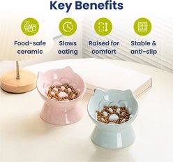 PawsPik Lynx Ceramic Raised Slow Ceramic Dog & Cat Elevated Food Bowl, Sky Blue slide 2 of 9