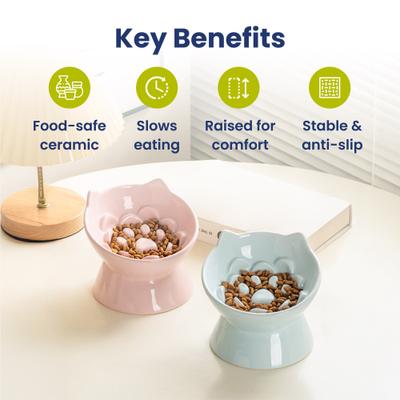 Show full view: PawsPik Lynx Ceramic Raised Slow Dog & Cat Food Bowl, Sky Blue slide 2 of 11