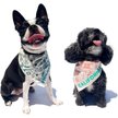 Show in main carousel: Maptote Dallas Dog Bandana, Red/Navy, Small slide 2 of 4