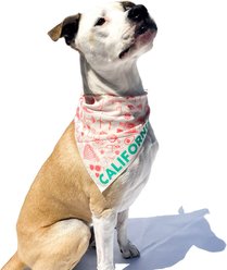 Maptote California Dog Bandana, Coral/Green, Large