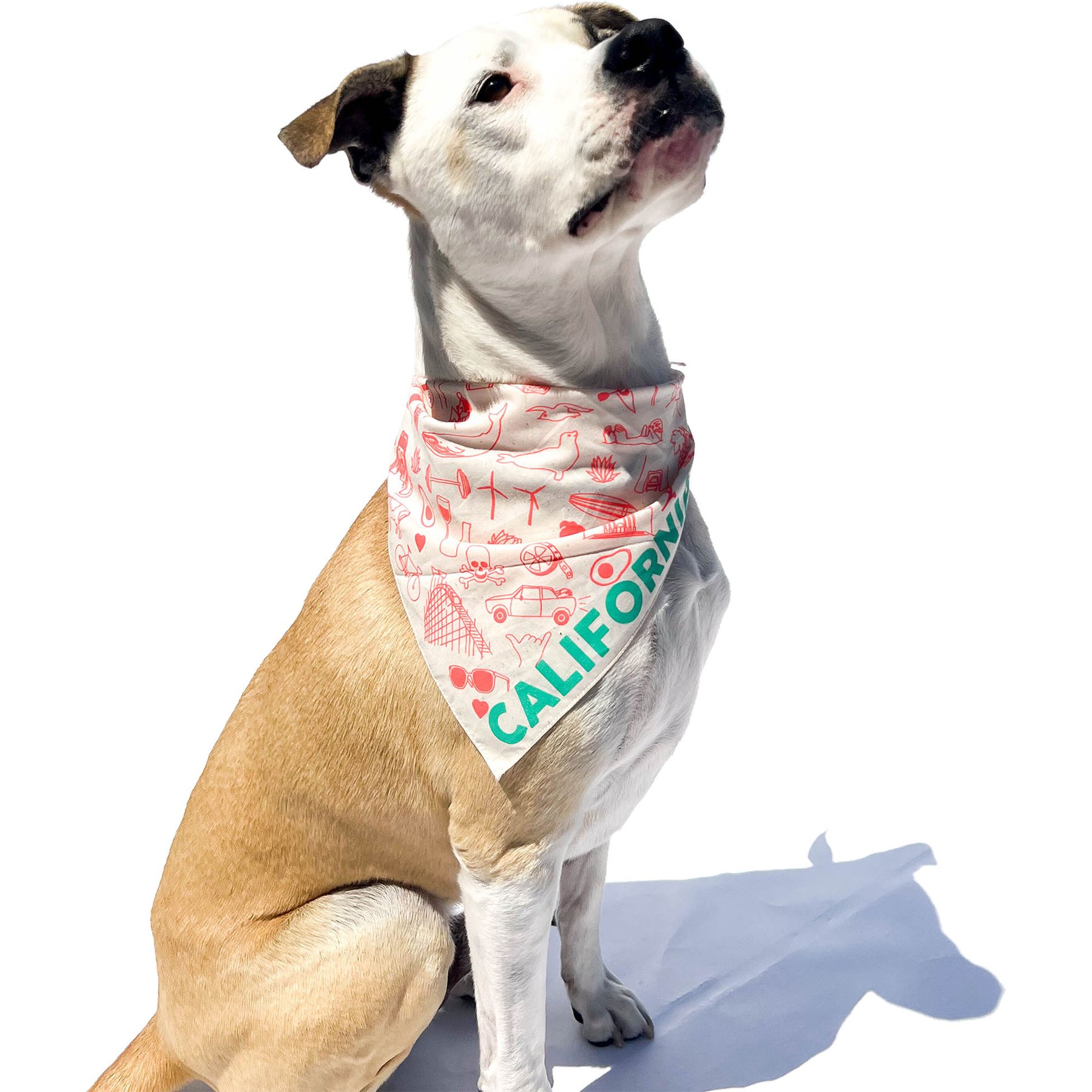 Maptote California Dog Bandana, Coral/Green, Large