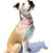 Show in main carousel: Maptote California Dog Bandana, Coral/Green, Large slide 1 of 5