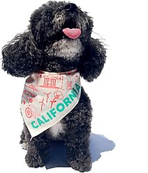 Maptote California Dog Bandana, Coral/Green, Small