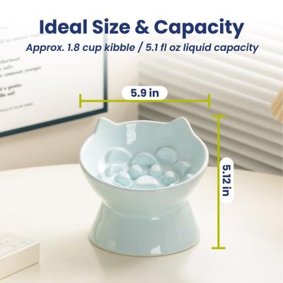 Show full view: PawsPik Lynx Ceramic Raised Slow Dog & Cat Food Bowl, Sky Blue slide 9 of 11