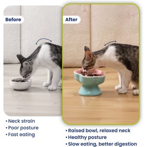 PawsPik Raised Ceramic Slow Feeder Dog & Cat Food Bowl, Rose Pink