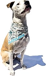 Maptote Philadelphia Dog Bandana, Teal/Turquoise, Large