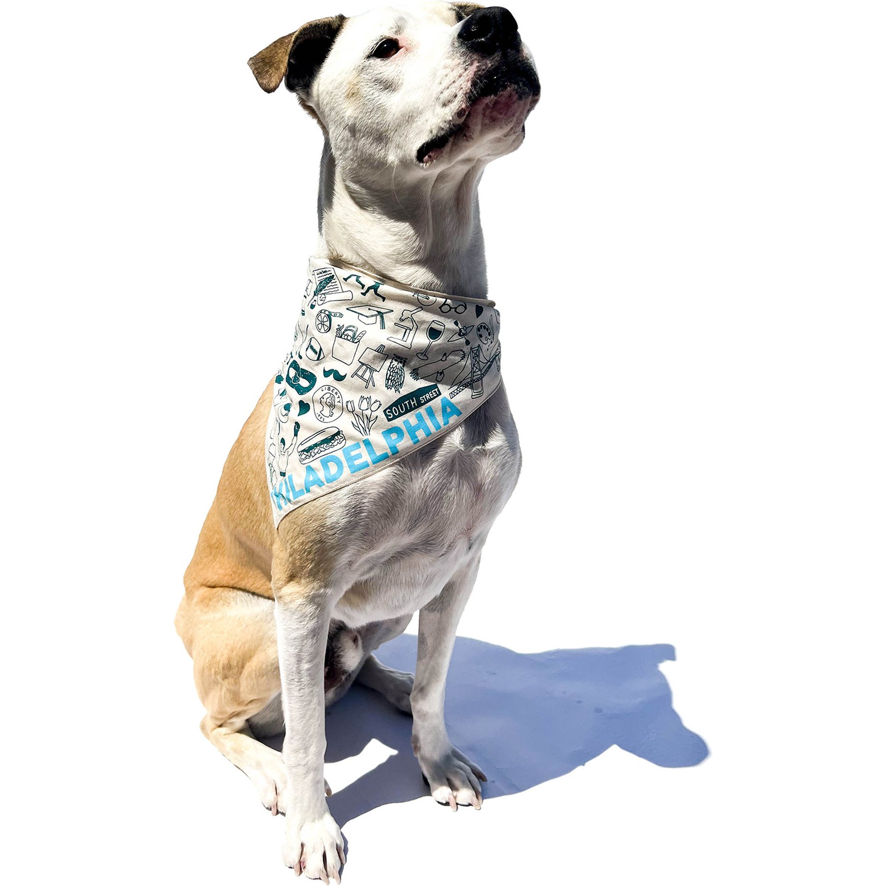 Maptote Philadelphia Dog Bandana, Teal/Turquoise, Large