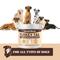 Show in main carousel: Special Breed Turkey Tail Mushroom Flavored Powder Canine Immune Support Supplement for Dogs & Cats, 7.1-oz jar slide 6 of 9
