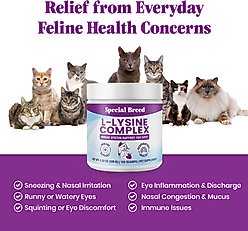 Special Breed L-Lysine Powder Immune System Supplement for Kittens & Cats, 4.23-oz jar, 120 scoops slide 2 of 7