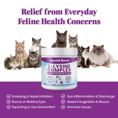 Show full view: Special Breed L-Lysine Powder Immune System Supplement for Kittens & Cats, 4.23-oz jar, 120 scoops slide 8 of 8
