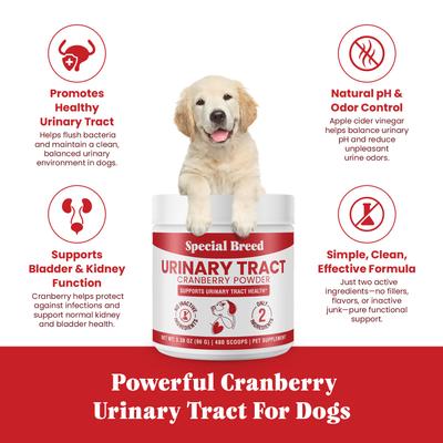 Show full view: Special Breed Cranberry Flavored Powder Urinary Tract Health Supplement for Dogs, 3.38-oz jar, 480 scoops slide 4 of 8