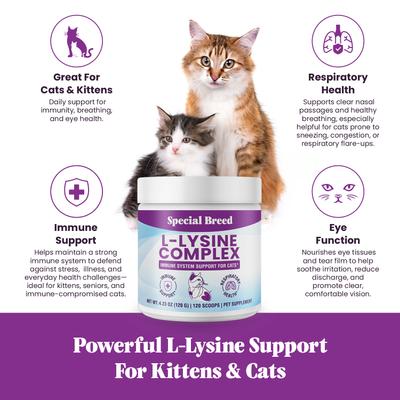 Show full view: Special Breed L-Lysine Powder Immune System Supplement for Kittens & Cats, 4.23-oz jar, 120 scoops slide 3 of 8