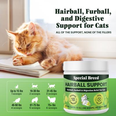 Show full view: Special Breed 10 Super Ingredients Powder Hairball Support Supplement for Cats, 2.54-oz jar slide 6 of 8