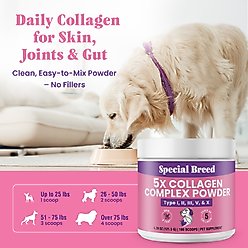 Special Breed Premium 5X Collagen Types I, II, III, V & X Powder Skin, Joint & Gut Support Supplement for Dogs, 4.28-oz jar slide 2 of 6