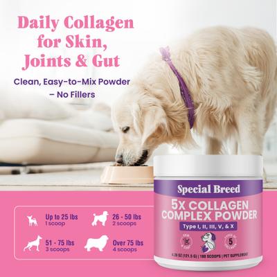 Show full view: Special Breed Premium 5X Collagen Types I, II, III, V & X Powder Skin, Joint & Gut Support Supplement for Dogs, 4.28-oz jar slide 6 of 7