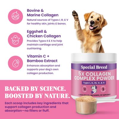 Show full view: Special Breed Premium 5X Collagen Types I, II, III, V & X Powder Skin, Joint & Gut Support Supplement for Dogs, 4.28-oz jar slide 7 of 7