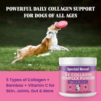 Show full view: Special Breed Premium 5X Collagen Types I, II, III, V & X Powder Skin, Joint & Gut Support Supplement for Dogs, 4.28-oz jar slide 5 of 7