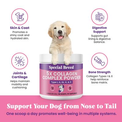 Show full view: Special Breed Premium 5X Collagen Types I, II, III, V & X Powder Skin, Joint & Gut Support Supplement for Dogs, 4.28-oz jar slide 4 of 7